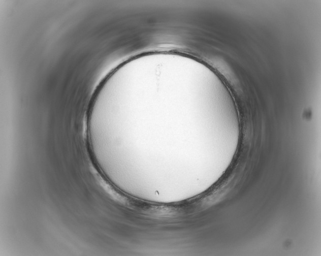 X0000093561420200711051028