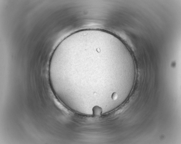 X0000093561421200711051028