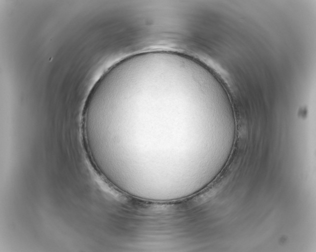 X0000093561423200711051028