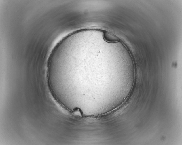 X0000093561424200711051028