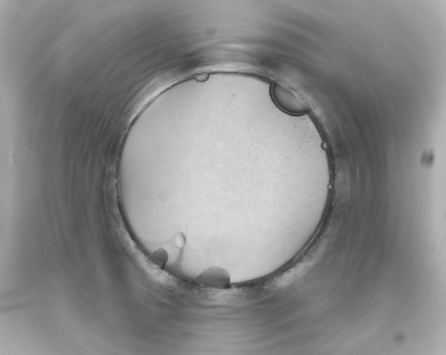 X0000093561425200711051028