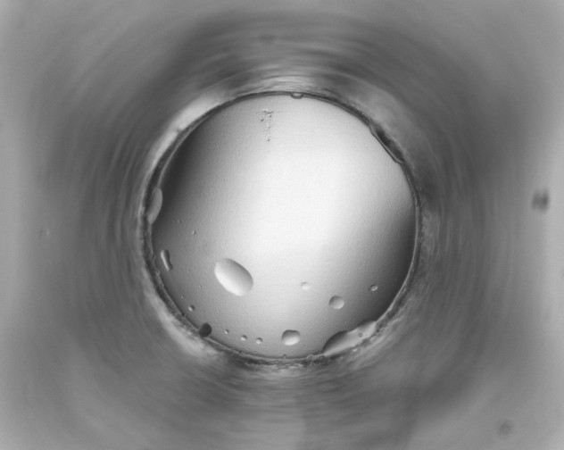 X0000093561426200711051028