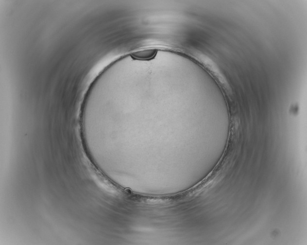 X0000093561427200711051028