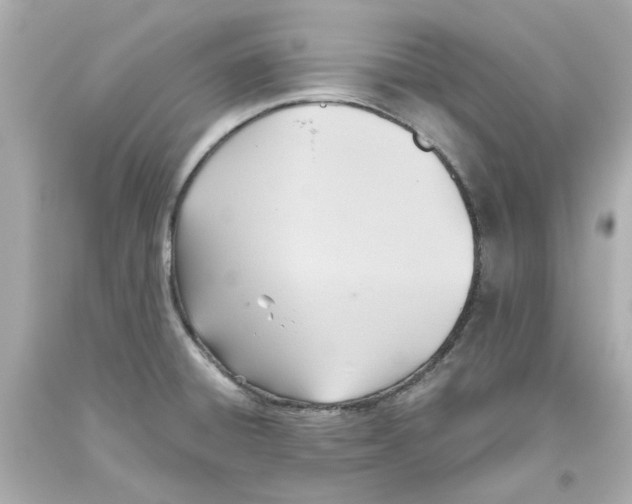 X0000093561428200711051028