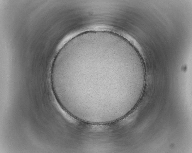 X0000093561429200711051028