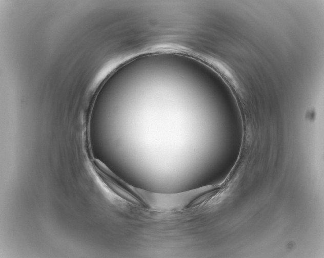 X0000093561430200711051028