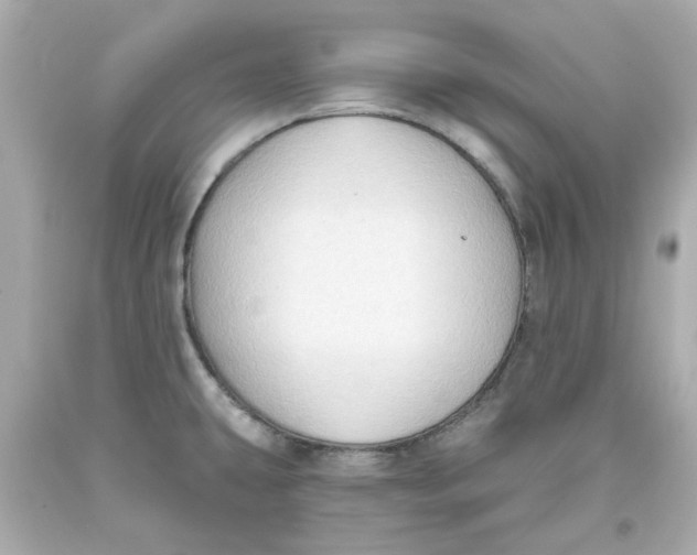 X0000093561431200711051028