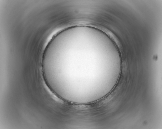 X0000093561432200711051028