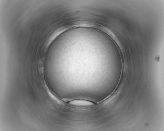 X0000093561433200711051028