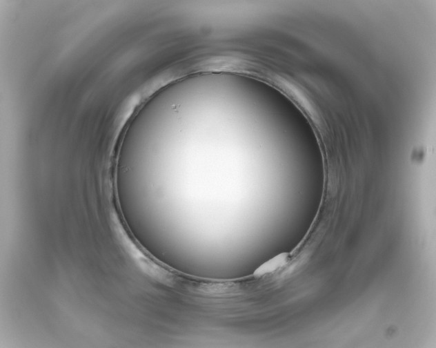 X0000093561434200711051028