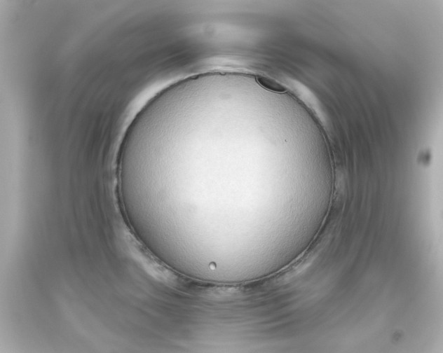 X0000093561435200711051028