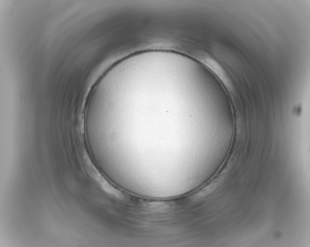 X0000093561436200711051028