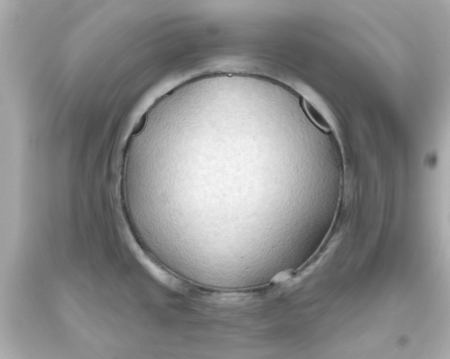 X0000093561437200711051028