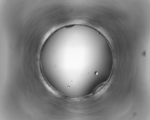 X0000093561438200711051028