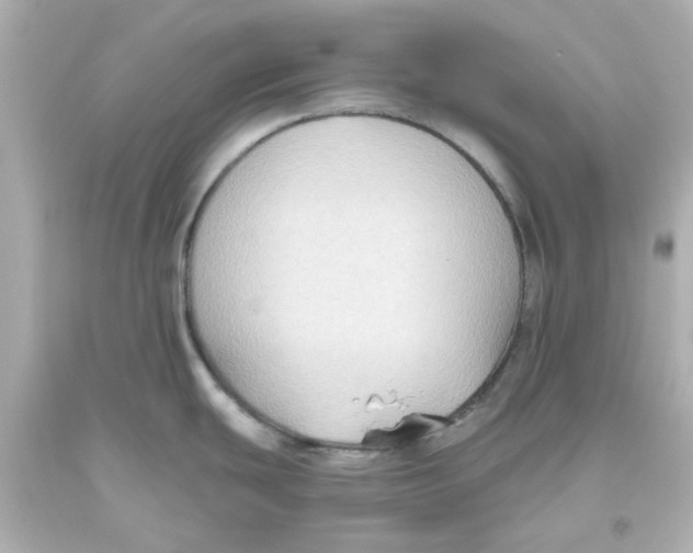 X0000093561439200711051028