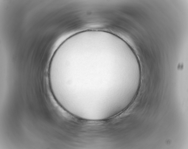 X0000093561440200711051028