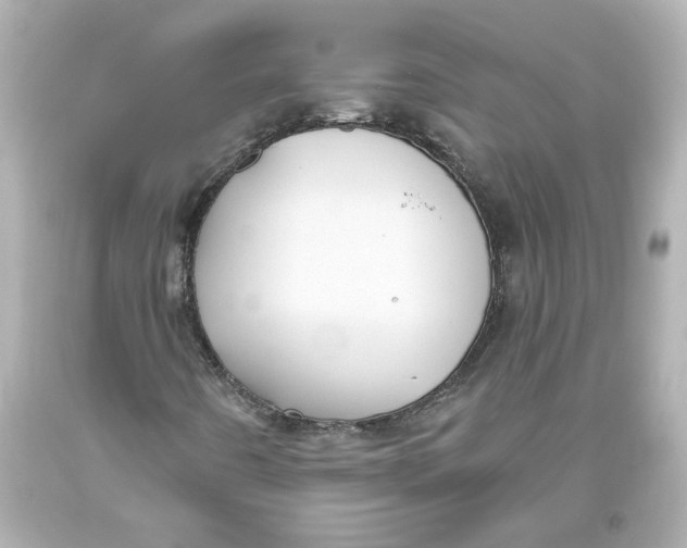 X0000093561442200711051028