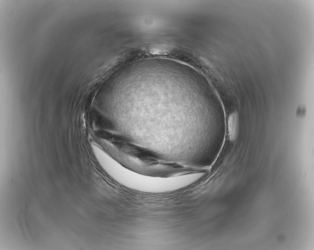 X0000093561443200711051028