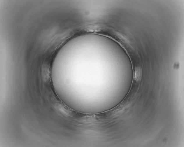 X0000093561444200711051028