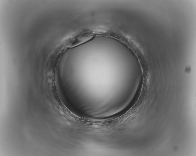 X0000093561445200711051028