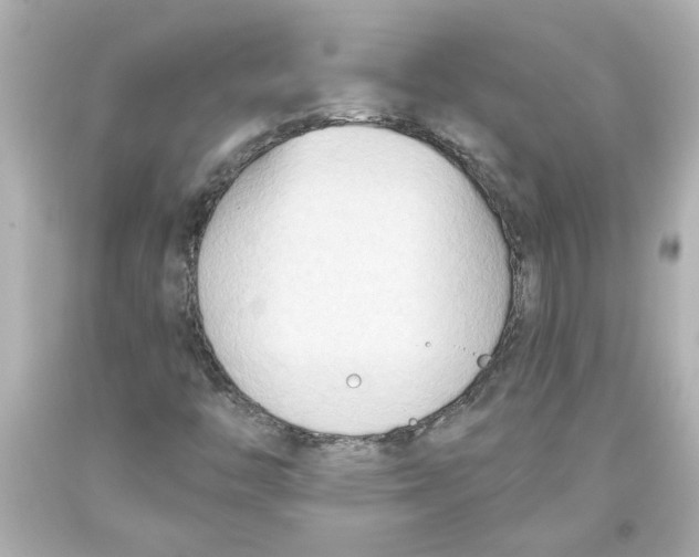 X0000093561446200711051028