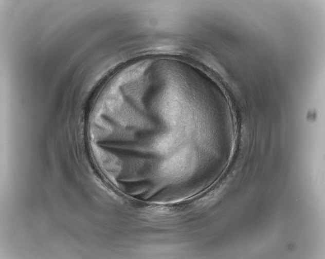 X0000093561450200711051028