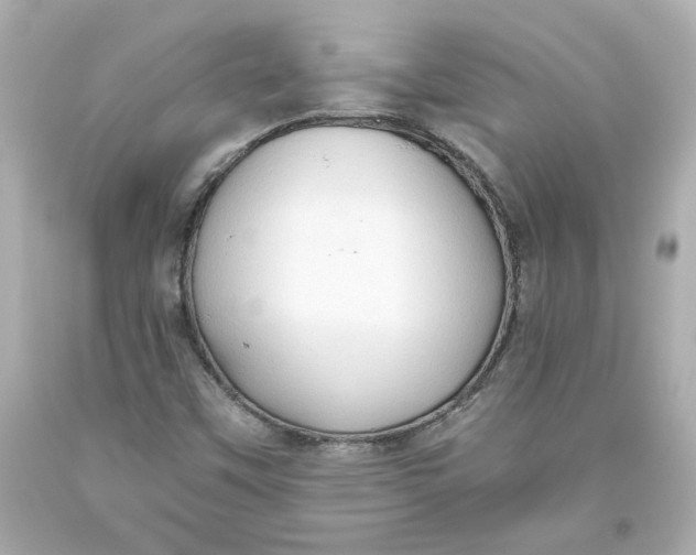 X0000093561451200711051028