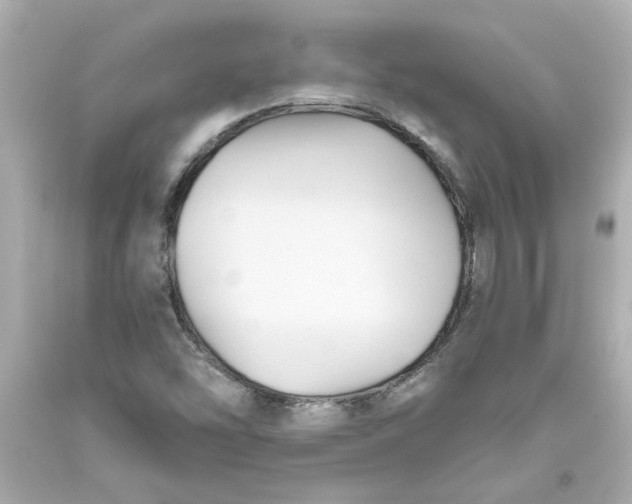 X0000093561454200711051027