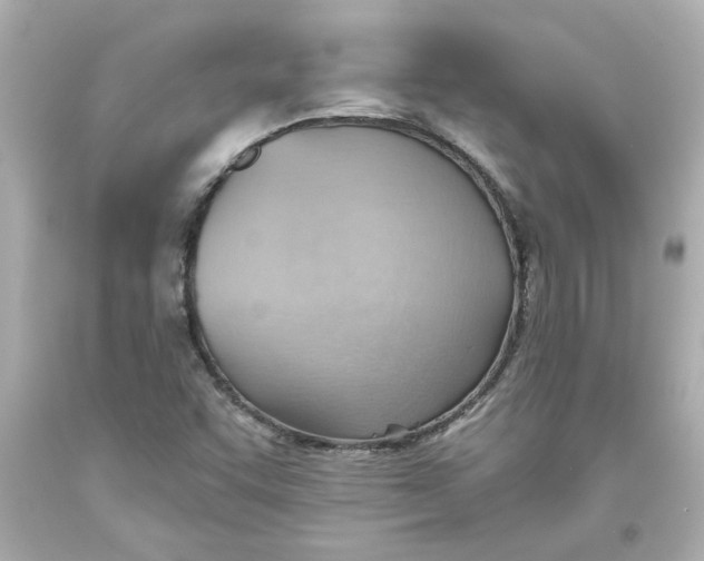 X0000093561455200711051027