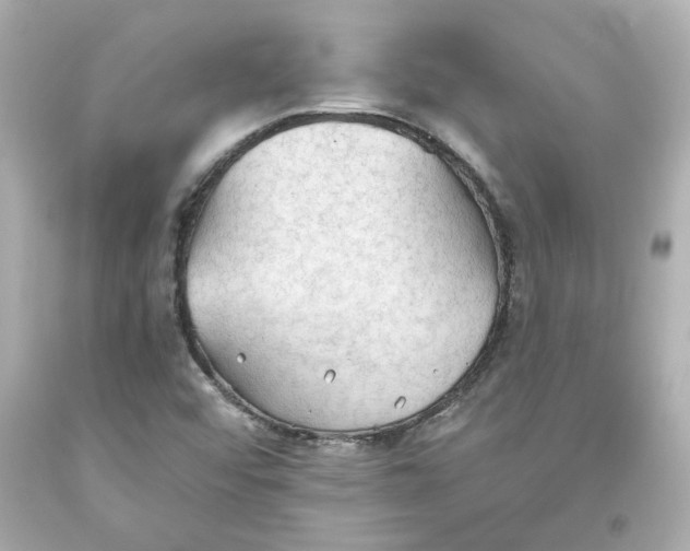 X0000093561456200711051027