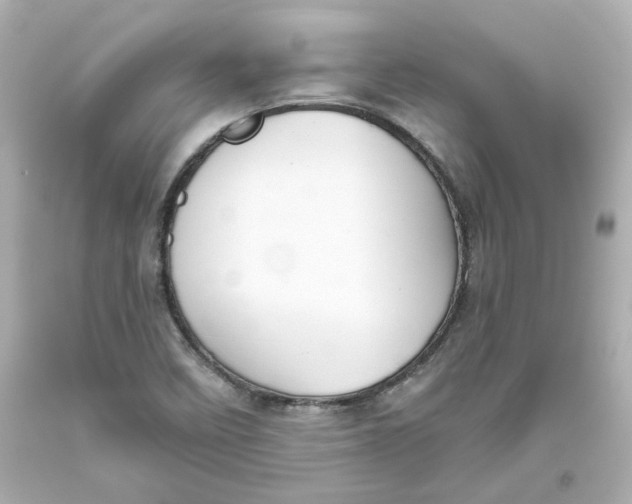 X0000093561458200711051027