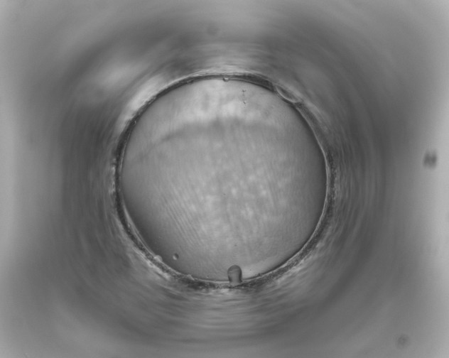 X0000093561459200711051027