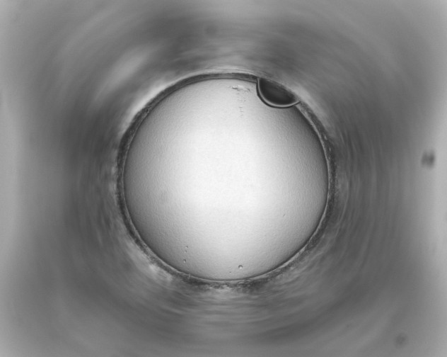 X0000093561460200711051027