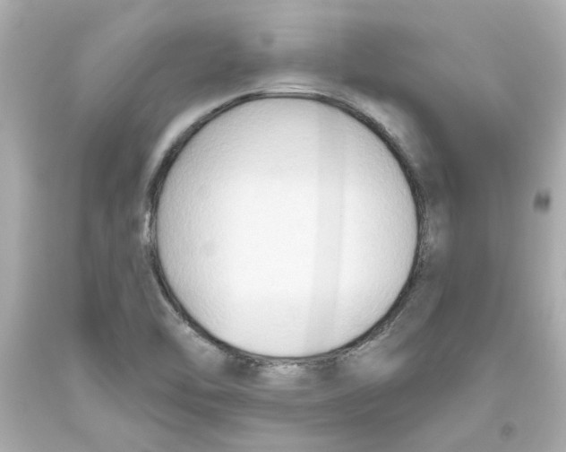 X0000093561462200711051027