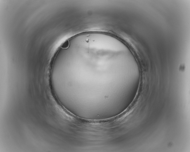 X0000093561463200711051027