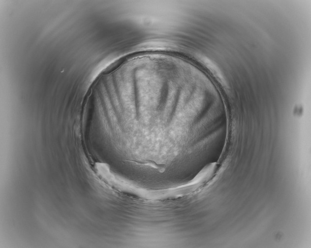 X0000093561465200711051027