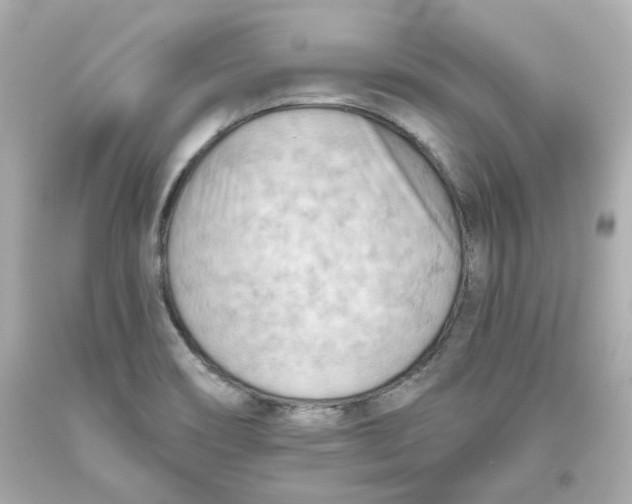 X0000093561466200711051027