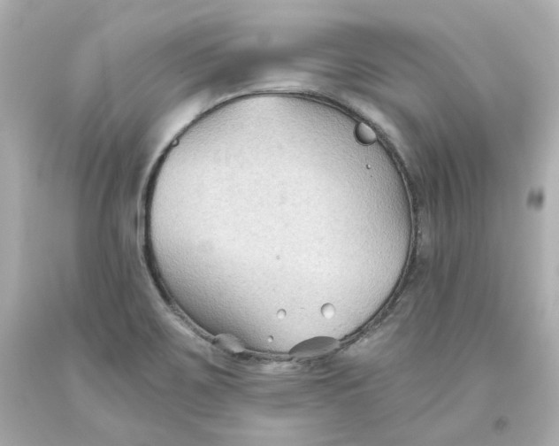 X0000093561467200711051027