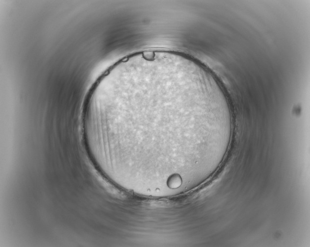 X0000093561469200711051027