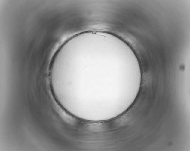 X0000093561470200711051027