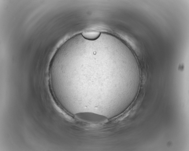 X0000093561471200711051027