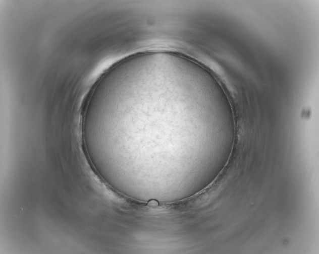 X0000093561472200711051027