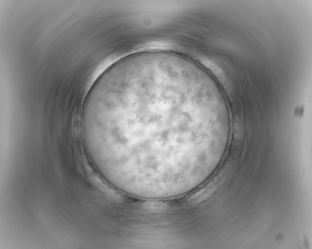 X0000093561473200711051027