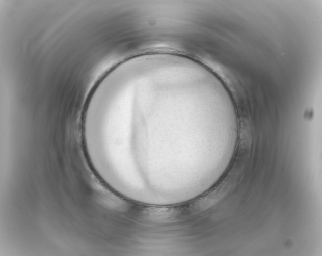 X0000093561474200711051027