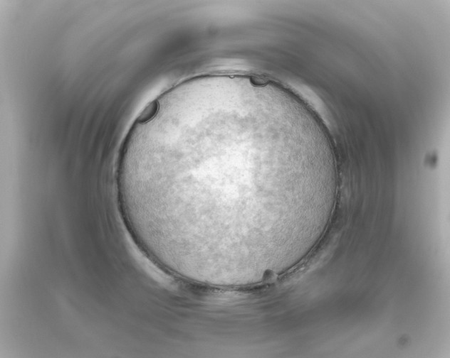 X0000093561475200711051027