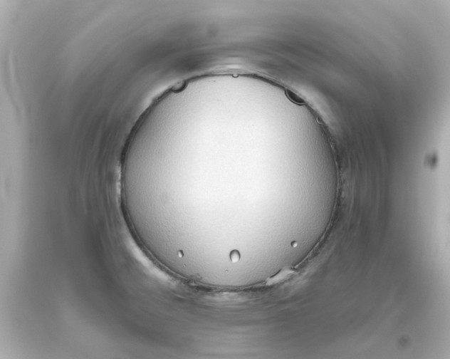 X0000093561476200711051027