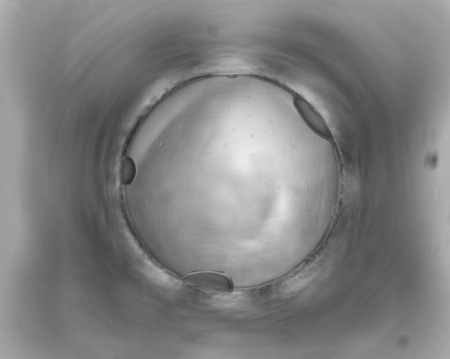 X0000093561477200711051027