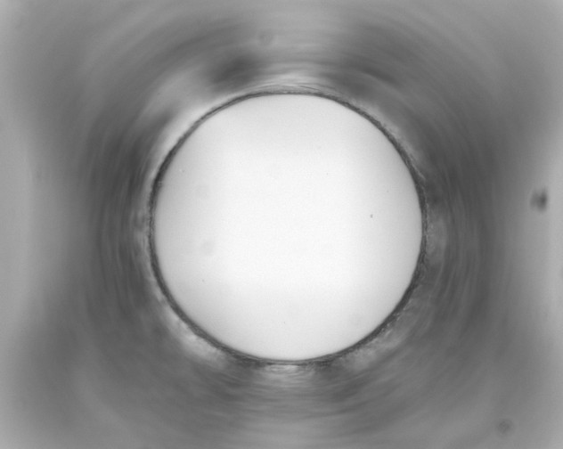 X0000093561478200711051027