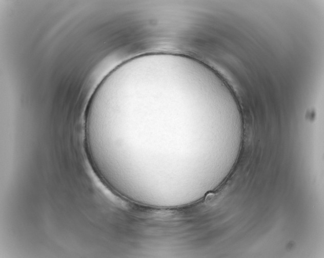 X0000093561479200711051027