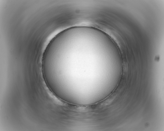 X0000093561480200711051027